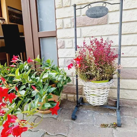 Bed & Breakfast Balaton Panzio Fuered Balatonfured
