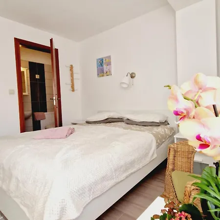 Bed & Breakfast Balaton Panzio Fuered *