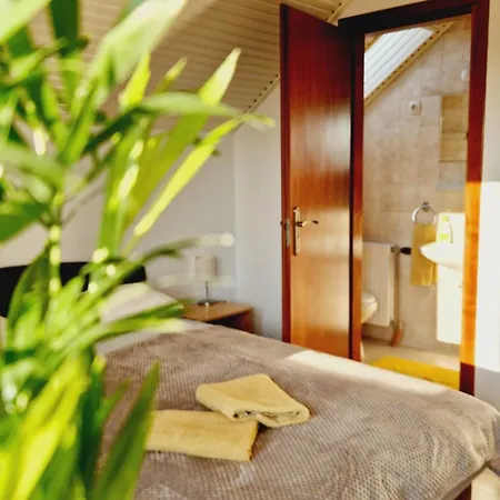 Balaton Panzio Fuered Bed & Breakfast