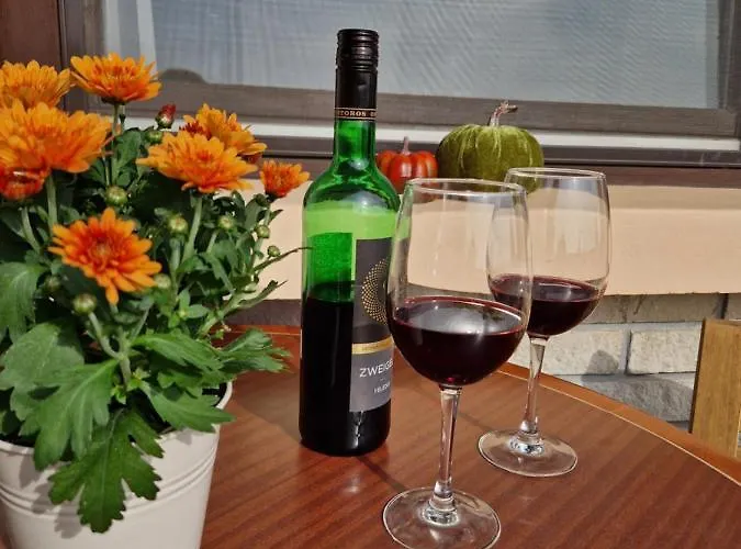 Balaton Panzio Fuered Bed & Breakfast 3*