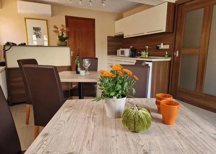 Balaton Panzio Fuered 3* באלאטונפורד