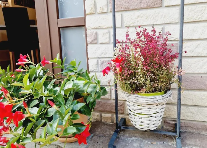 Bed & Breakfast Balaton Panzio Fuered Balatonfüred