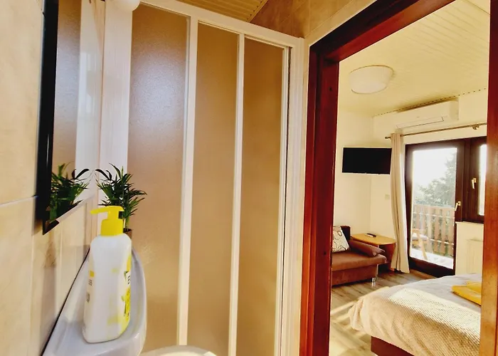 Bed & Breakfast Balaton Panzio Fuered 3*