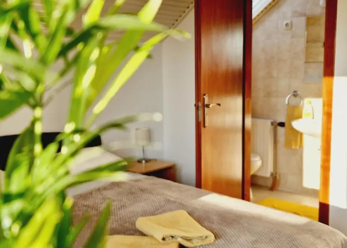 Balaton Panzio Fuered Bed & Breakfast