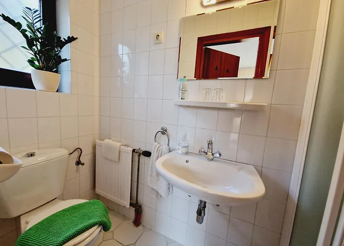 Balaton Panzio Fuered לינה וארוחת בוקר באלאטונפורד